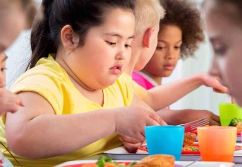 Lời khuyên và hỗ trợ cho phụ huynh có con bị béo phì